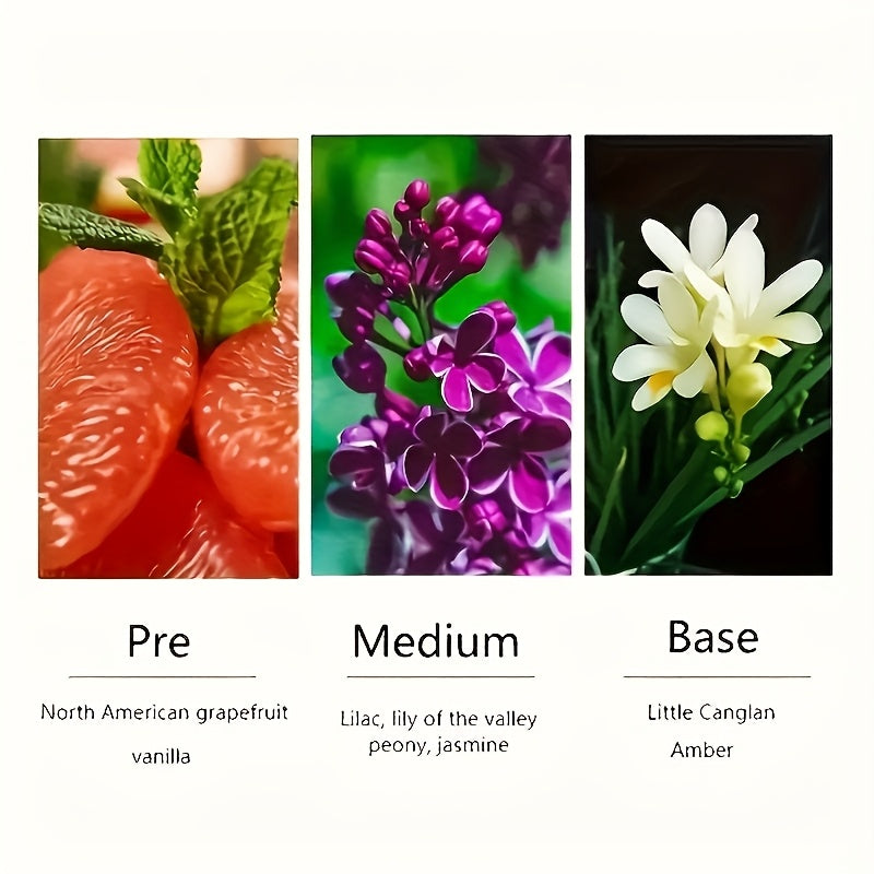 Elegant Dubai Women'S Perfume, Sultan Amber Perfume Spray - 100ml\u002F3.4oz Arab Eau de Toilette with Classic Golden Oil, Long-Lasting And Elegant Scent, Intense, Refreshing and Floral, Ideal for Daily Wear, Special Occasions and Gifts